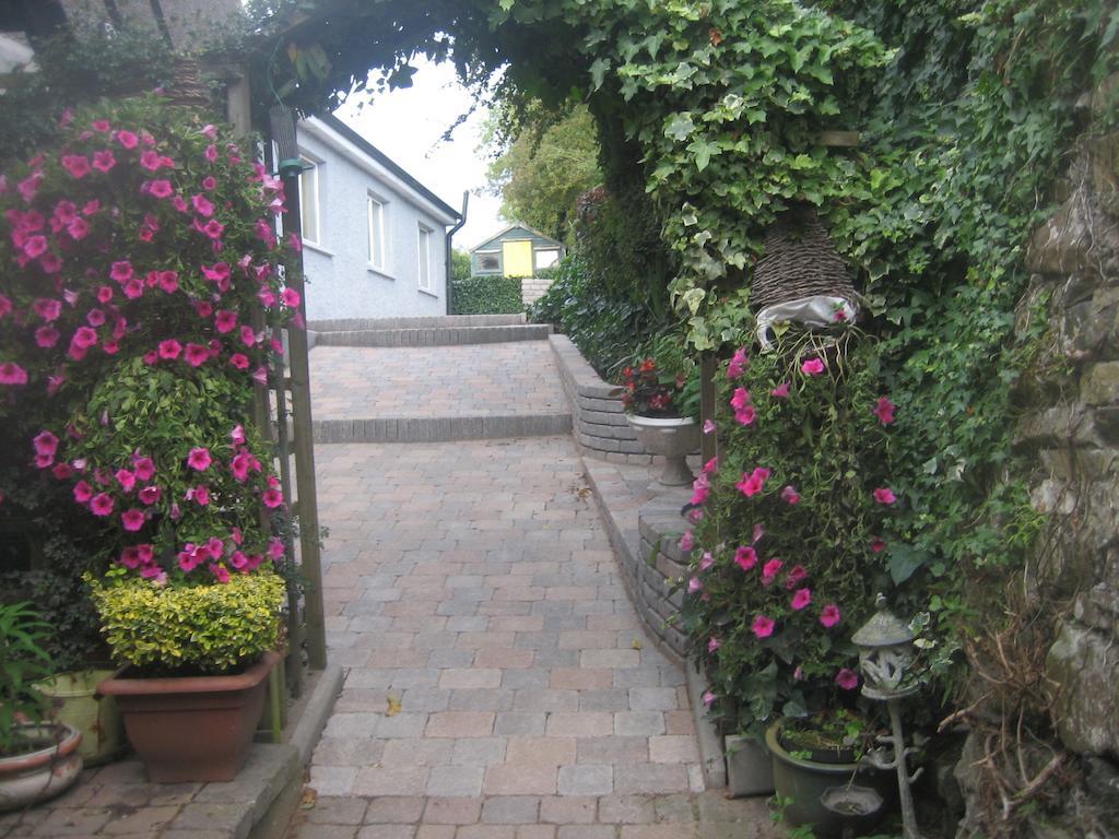 Ashleigh Guest House Monaghan Exterior foto